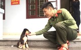 Những người bạn thủy chung của lính đảo ở Trường Sa